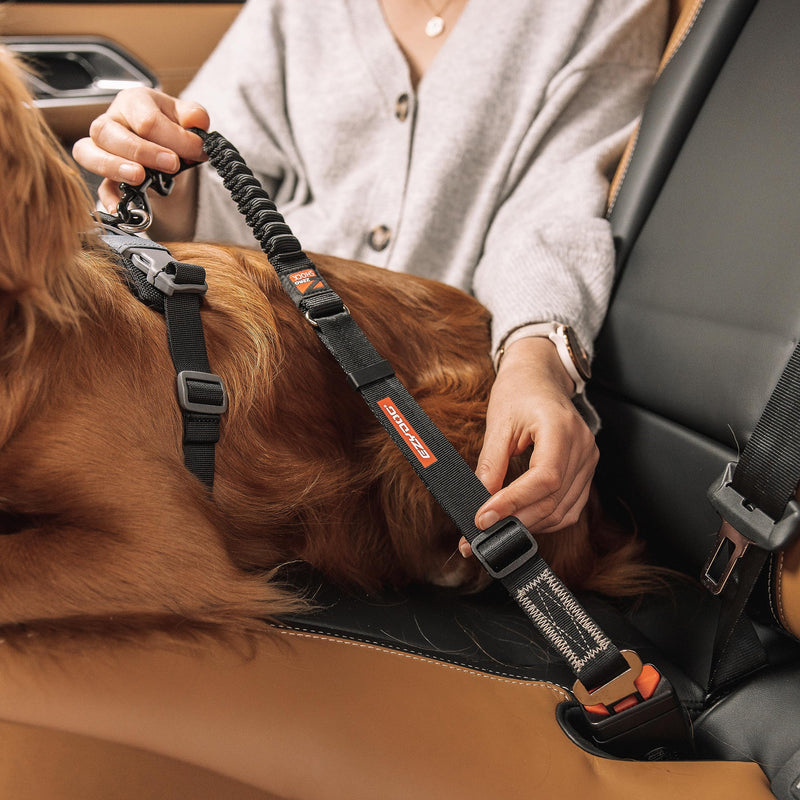 EzyDog Zero Shock CLICK - Shock Absorbing Dog Seat Belt Car Harness Attachment for Dogs - Adjustable Dog Restraints Seatbelts for Car Travel and Safety - (20in - 26in, Black) Zero Shock - 20in - 26in - BeesActive Australia