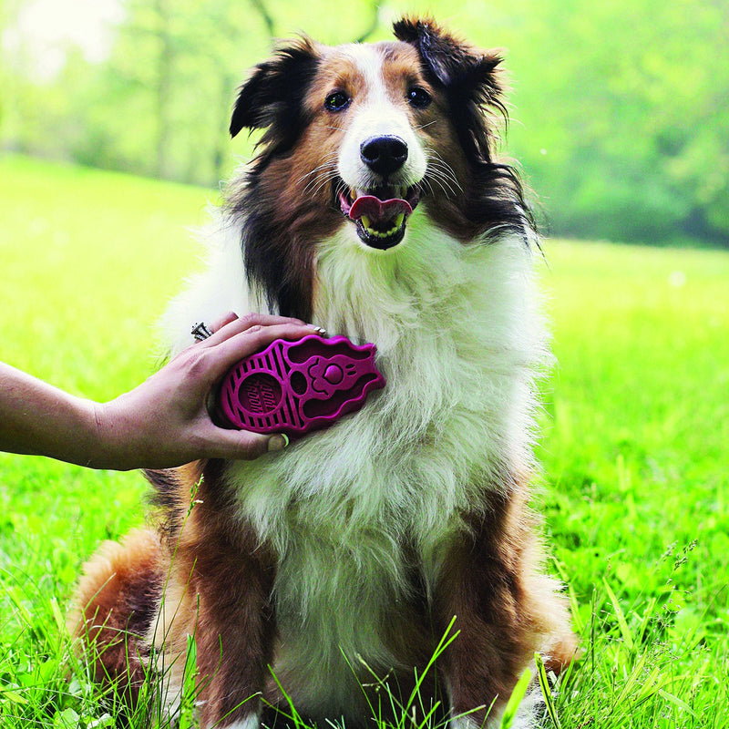 KONG - ZoomGroom - Dog Brush for Grooming and Shampooing - Blue Brush for Large Dogs Standard Packaging