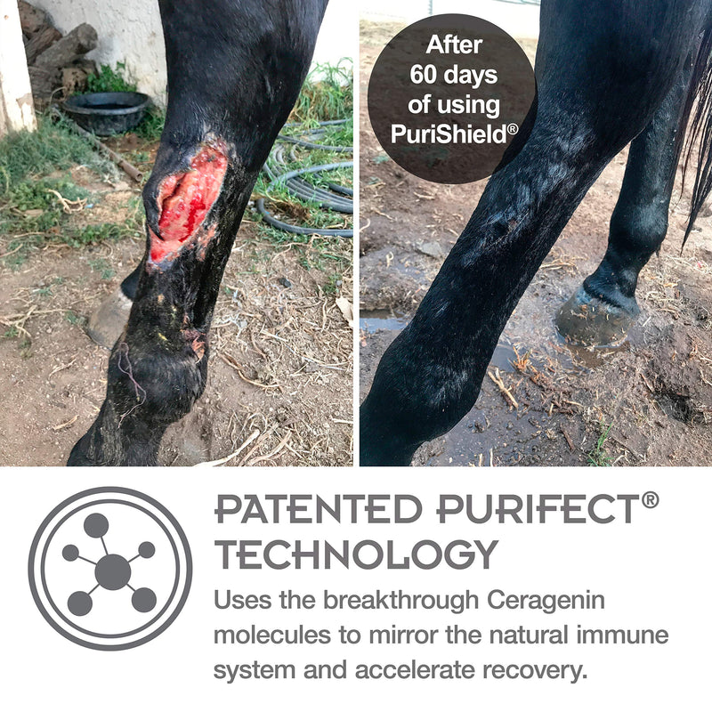 Farnam Purishield Wound & Skin Care Fast Acting Spray, Cleans and Treats Wounds on Horses, Dogs, Cats & Livestock 16 Ounces Wound Spray - BeesActive Australia