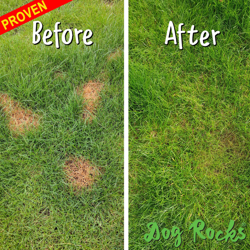 Dog Rocks 100% Natural Urine Patch Preventer - 200g Bag
