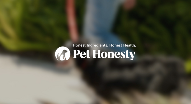 Pet Honesty Hot Spot Spray for Dogs & Cats with Aloe Vera, 4oz