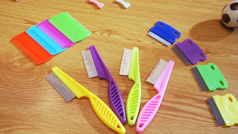 Boao 6 Pack Flea Comb Pet,Pink, Green, Purple, Yellow Pink, Green, Purple, Yellow