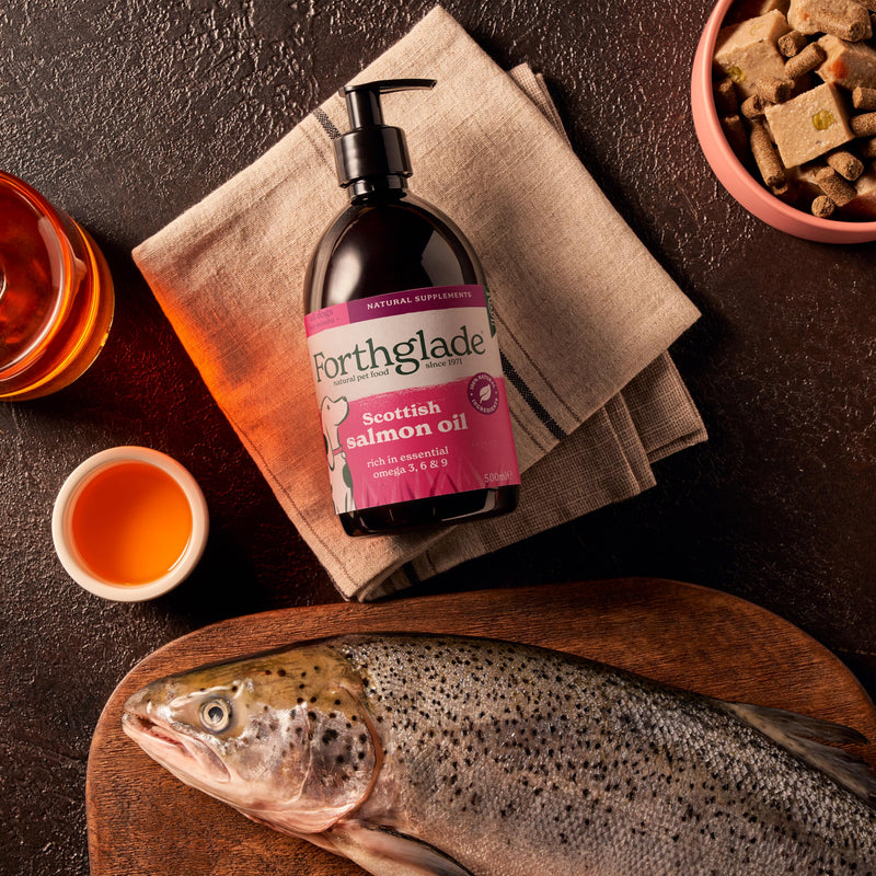 Forthglade Scottish Salmon Oil for Dogs (1 x 500ml), UK Sourced Omega 3 Fish Oil Dog Joint Supplement for Pets Aged 4+ Months, 100% Natural Premium Quality Dog Vitamins for Everyday Wellbeing