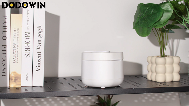 DODOWIN 45kHz Ultrasonic Retainer Cleaner, 200ML, 2 Cleaning Modes White
