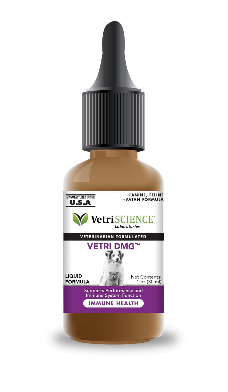 VETRISCIENCE Vetri DMG Liquid, 30mL Dropper - Supports Immune System, Stamina, Skin Irritation, Watery Eyes, and Performance for Dogs and Cats 1 Fl Oz (Pack of 1) - BeesActive Australia