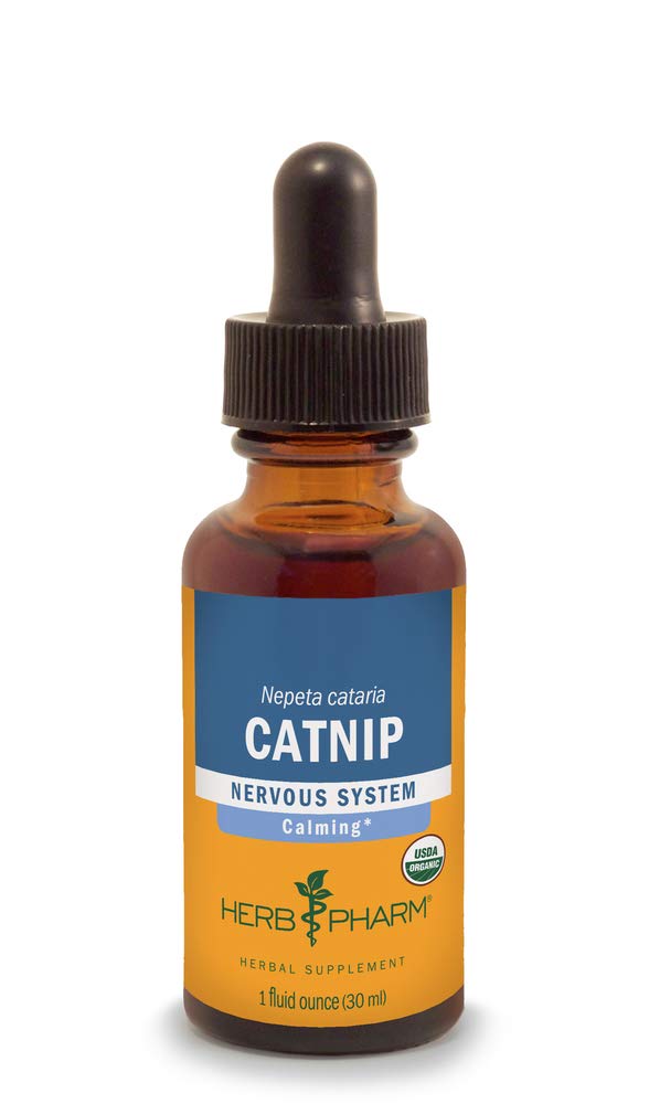 Herb Pharm Certified Organic Catnip Liquid Extract for Calming Nervous System Support, 1 Fl Oz 1 Fl Oz (Pack of 1) - BeesActive Australia