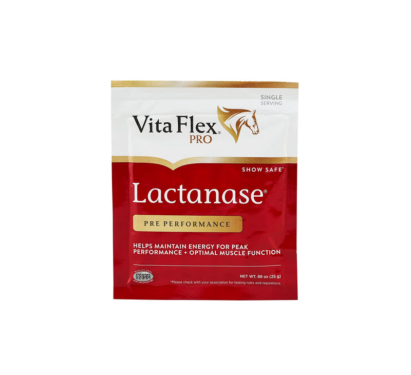 Pro Horse Lactanase Pre Performance Supplement, Show Safe, Single Serve Packet - BeesActive Australia