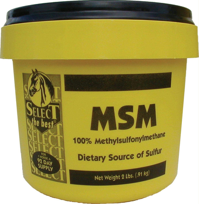 Msm Powder Joint Support for Horses, 2 Pound Container - BeesActive Australia