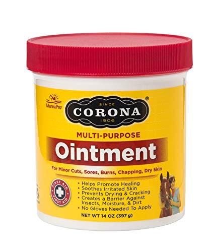 Manna Pro Corona Ointment for Horses | Lanolin-Based Formula Helps Sooth Irritation | 14 Ounces 14 Ounce (Pack of 1)