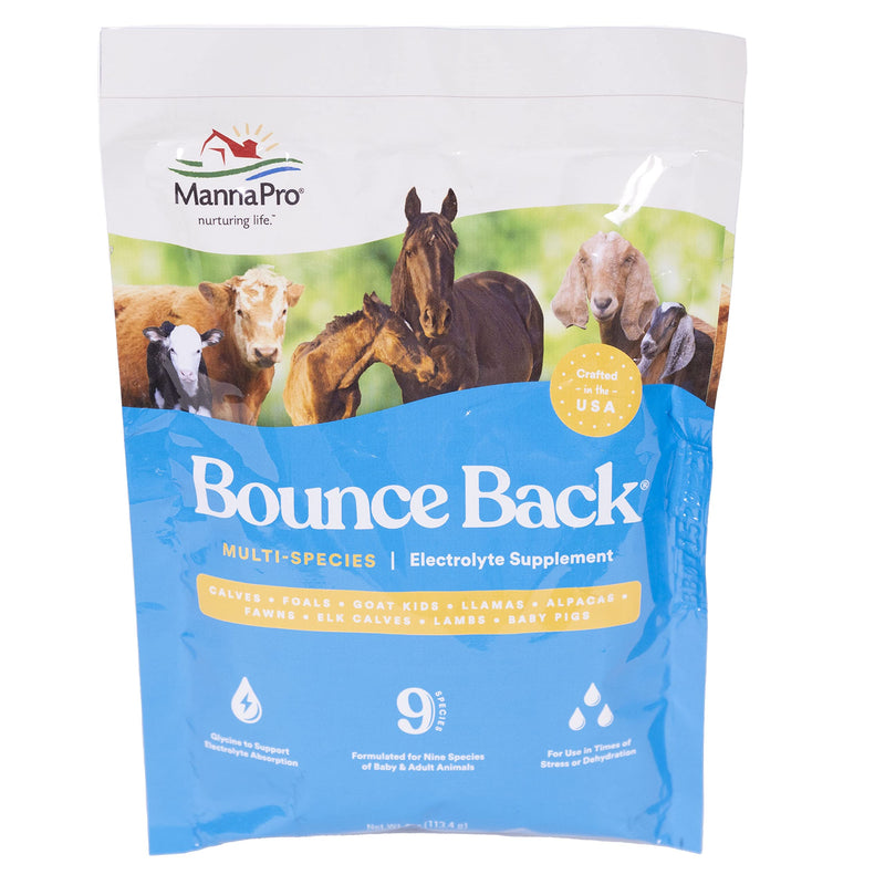 Manna Pro Bounce Back Supplement | Multi-Species Electrolyte | 4 oz - BeesActive Australia