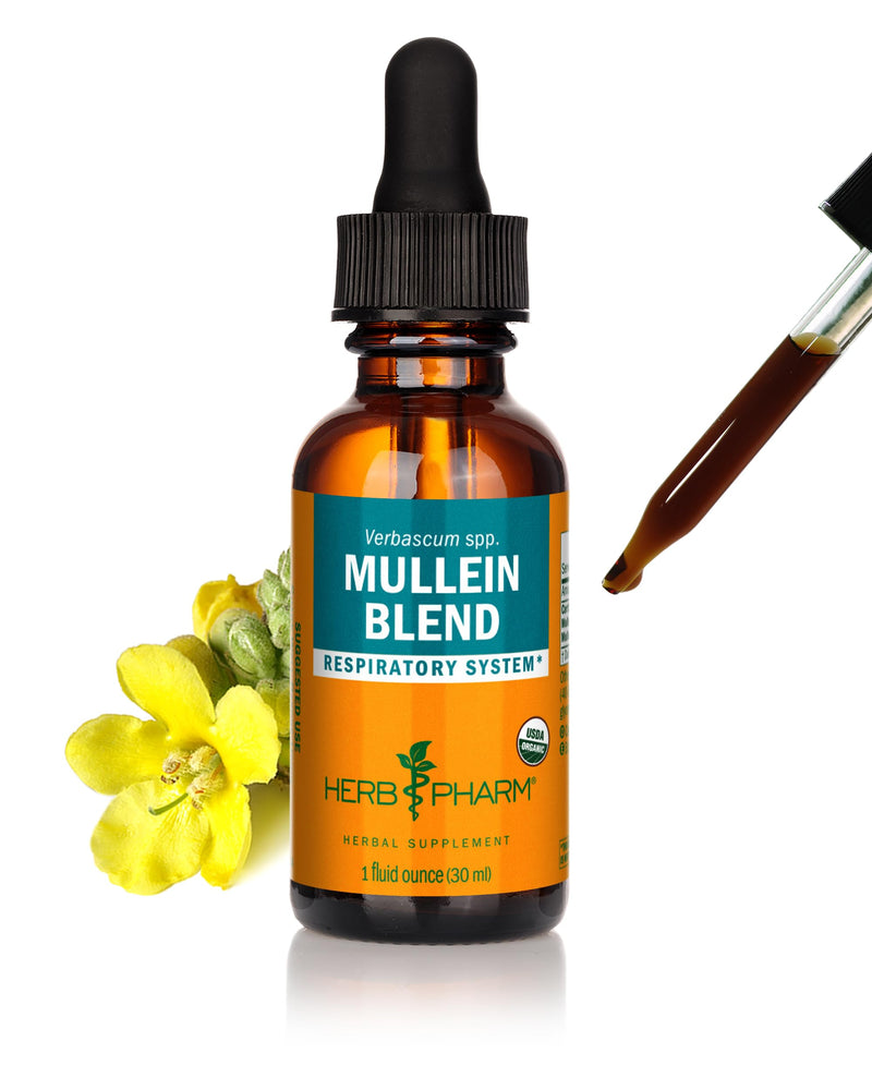 Herb Pharm Certified Organic Mullein Blend Liquid Extract for Respiratory System Support - 1 Ounce 1 Fl Oz (Pack of 1)