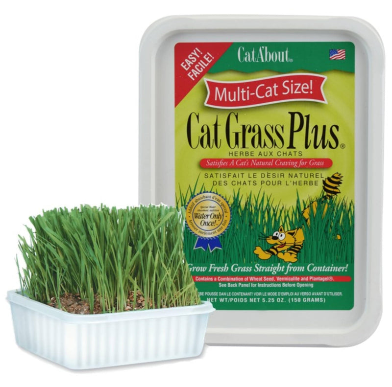 Miracle Care Cat A'bout Cat Grass Kit for Indoor Cats, 5.25 Ounce, Hairball Control, Anti-Inflammatory, Improves Digestion and Metabolism 5.25 Ounce (Pack of 1)