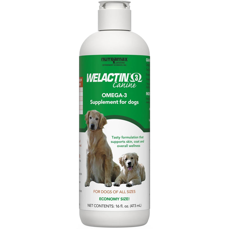 Nutramax Welactin Omega 3 Fish Oil for Dogs, Skin and Coat Health Supplement, Plus Joint, Immune, Kidney, and Brain Support, Premium Omega 3 Fatty Acids, For Dogs, 16 Ounce Liquid 16 oz (480 mL)