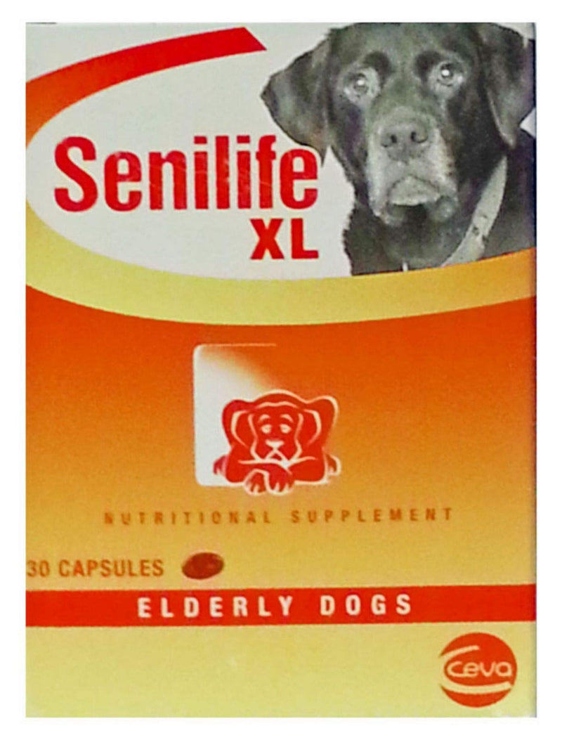 Senilife XL Capsules, 30 Count - BeesActive Australia