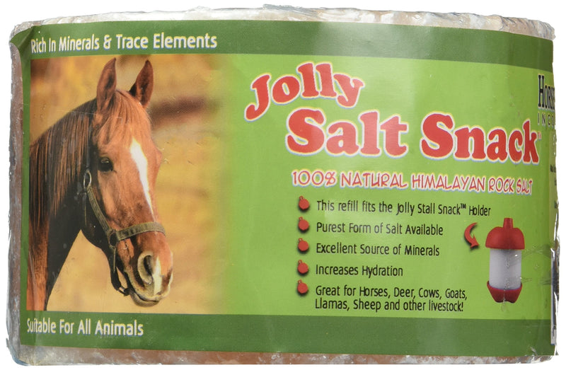 Jolly Pets Stall Snack Refill Salt - BeesActive Australia