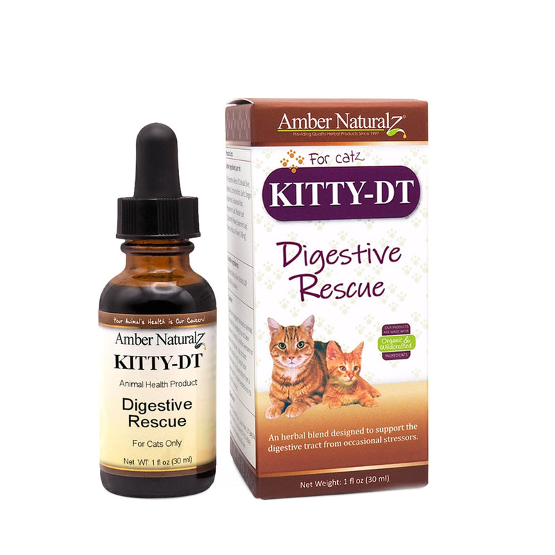 AMBER NATURALZ Kitty-DT Digestive Rescue Herbal Supplement for Cats | Feline Herbal Supplement for Occasional Upset and Digestive Support | 1 Fluid Ounce Glass Bottle | Manufactured in The USA - BeesActive Australia