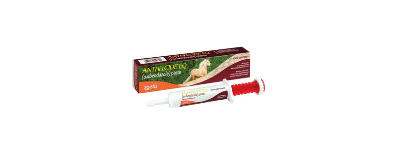 Equine Paste (24 gm) - BeesActive Australia