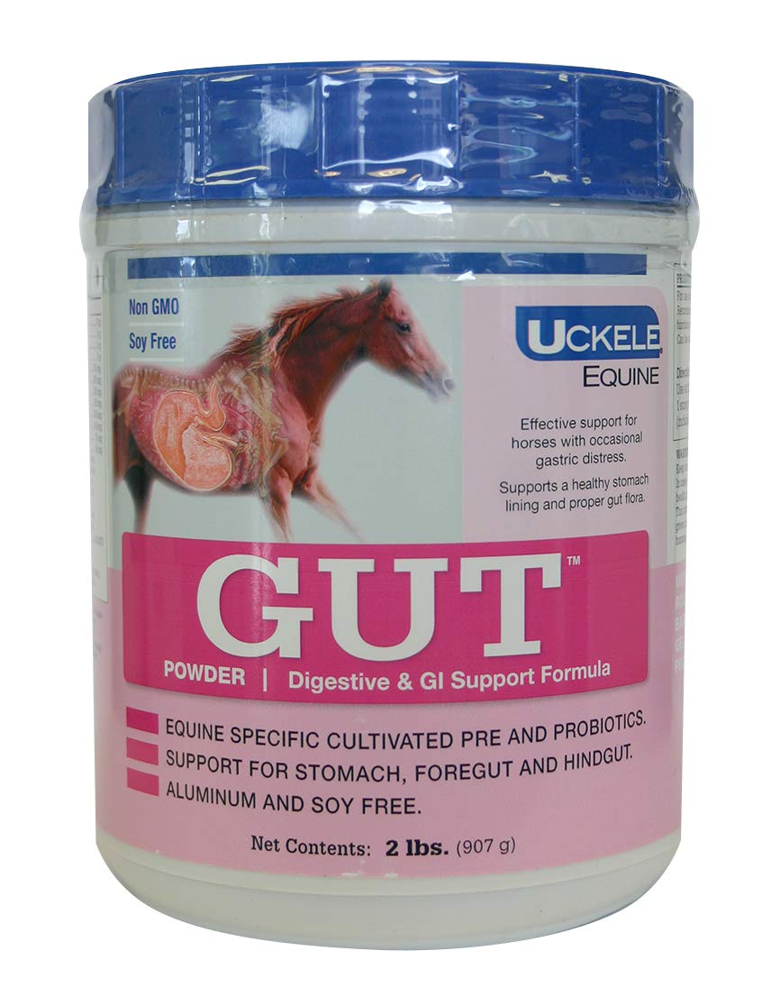 Uckele Gut Horse Supplement - Equine Vitamin & Mineral Supplement - 2 pound (lb)