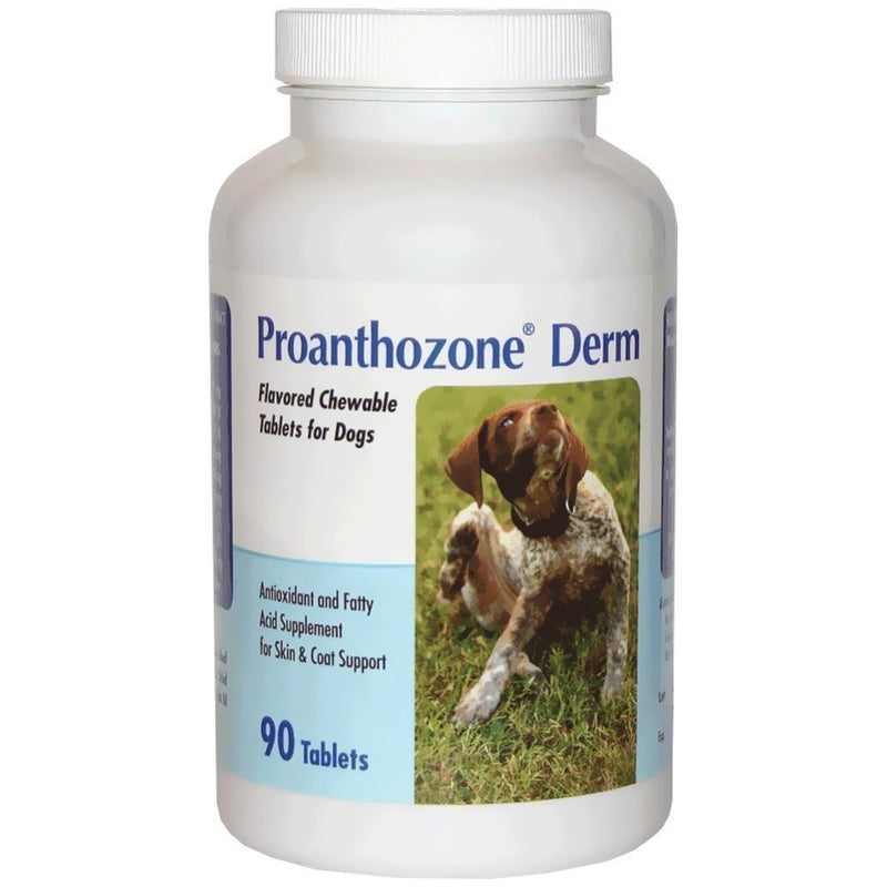 Derm for Dogs (90 Chew Tabs) - PawsPlanet Australia
