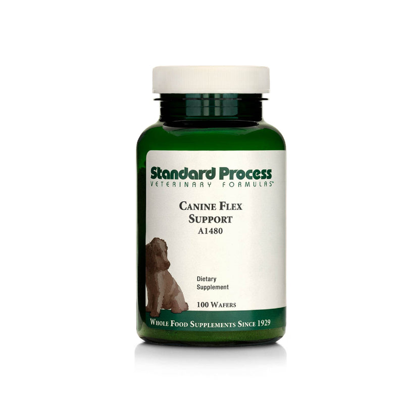Standard Process Canine Flex Support - Joint & Immune Health Support Supplement for Dogs - Chewable Wafers for Healthy Joint Function Support - Nutritional Whole Food Supplement - 100 wafers - PawsPlanet Australia