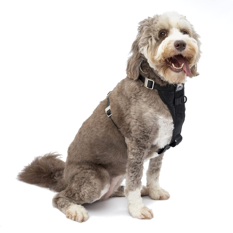 Kurgo Tru-Fit Enhanced Strength Dog Harness - Crash Tested Car Safety Harness for Dogs, No Pull Dog Harness, Includes Pet Safety Seat Belt (Black, Large) Black Large (Pack of 1) - BeesActive Australia