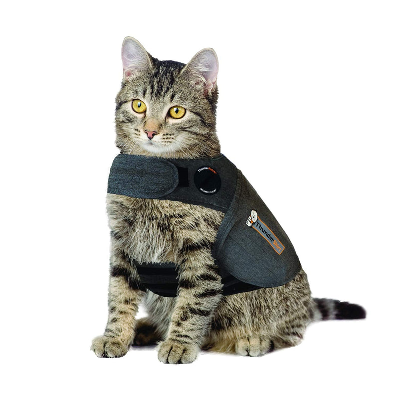 Thundershirt Classic Cat Anxiety Jacket, Heather Gray, Medium (9 to 13 lbs), THU-009 Medium (9 to 13 lbs) - BeesActive Australia