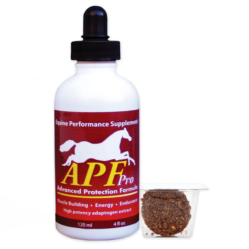 APF PRO Equine | Natural University-Level researched Horse Supplement | Gastric Health, Resistance to Stress, Immune Support, Muscle Health, Endurance 4 oz - BeesActive Australia