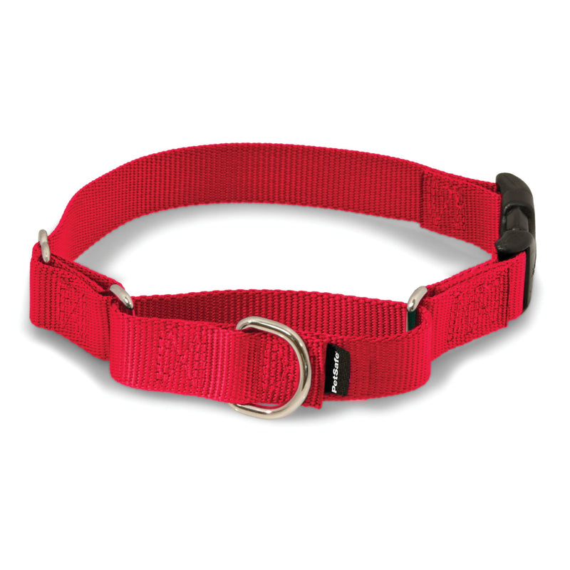 PetSafe Martingale Dog Collar with Quick-Snap Buckle - Medium, 1 Inch, Red MEDIUM (NYLON WIDTH 1") - BeesActive Australia