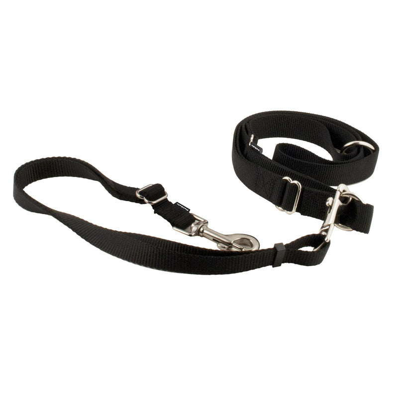 PetSafe Hands Free Adjustable Dog Leash - Great for Running, Jogging, Walking and Hiking - Wear Around the Waist - Black