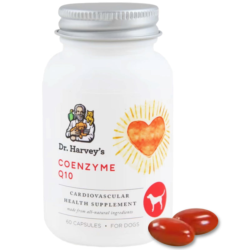 Dr. Harvey's Coenzyme Q10 - Heart & Cardiovascular Support Supplements for Dogs, 60 Capsules - BeesActive Australia