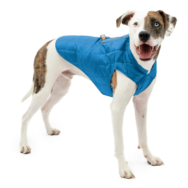 Kurgo Loft Dog Jacket, Reversible Dog Coat, Wear with Harness or Sweater, Water Resistant, Reflective, Winter Coat for Medium Dogs (Coastal Blue, M) Medium (Pack of 1) Coastal Blue/Orange - BeesActive Australia