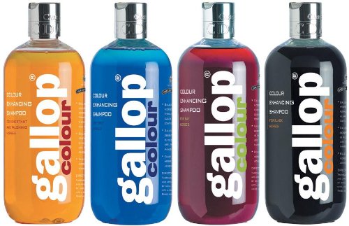 Gallop Colour Enhancing Horse Shampoo -Black Black - BeesActive Australia