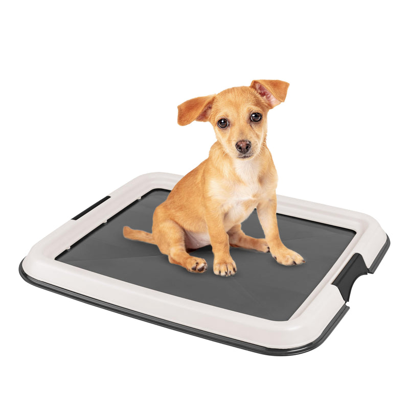 IRIS USA Pee Pad Holder, Small Puppy Dog Pad Holder, Secured Latches, Non-Skid Rubber Feet, High Polish Finish for Easy Cleaning, Leak Protection Dog Potty Tray, Fits 14"x17" Pad or Larger, Dark Gray - BeesActive Australia