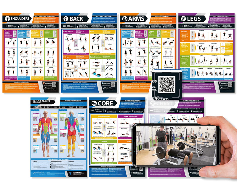 Muscle Groups & Exercise Poster for Home Gym Decor – Laminated Workout Chart with Free Video Training – Fitness Room Decor for Men and Women by Posterfit 24" x 16.5" - BeesActive Australia