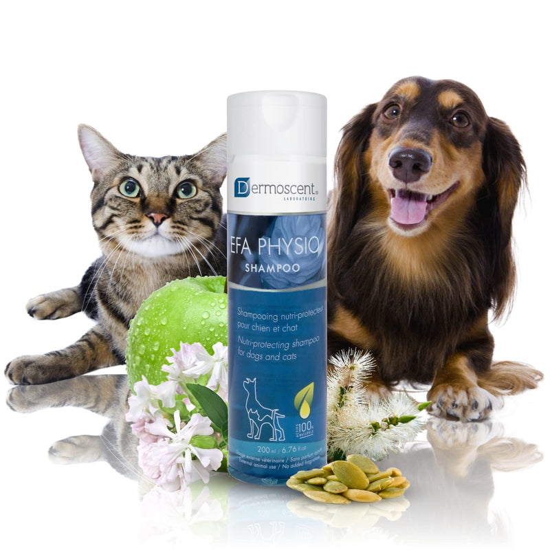 Dermoscent EFA Physio Shampoo for Dogs & Cats - Gentle Natural Ingredients for Frequent Bathing Allergies & Itchy Skin Relief - Soothes Dermatitis & Atopic Skin - 200 ml - PawsPlanet Australia