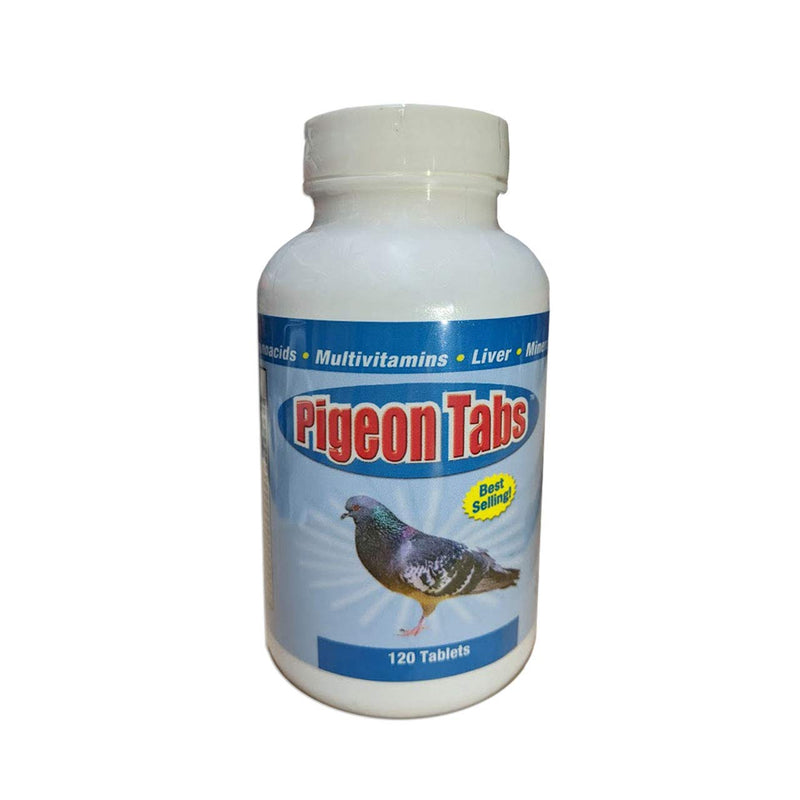 Pigeon Tabs - PawsPlanet Australia