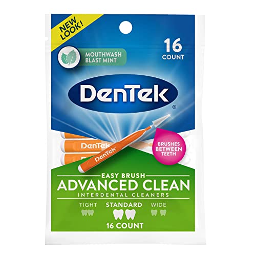 DenTek Easy Brush Interdental Cleaners, Between Teeth Brushes for Plaque Removal, Dental Picks for Oral Care, Mint, 16 Count (Pack of 10) 16 Count (Pack of 10)