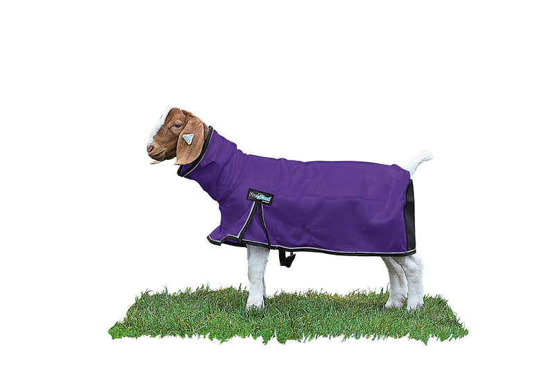 Weaver Livestock ProCool Goat Blanket Small Purple - BeesActive Australia