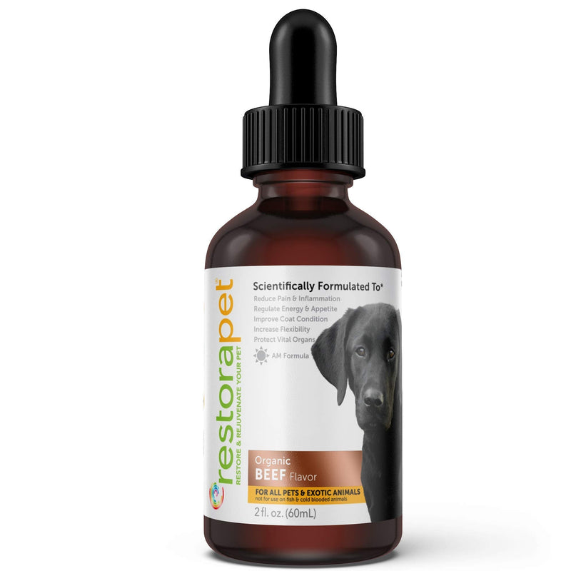 RestoraPet 1-Pack Dog & Cat Beef Liquid Multivitamin | Dog Arthritis Pain Relief | Hip & Joint Vitamins for Dogs - Anti Inflammatory Supplement for Dogs & Cats | Organic & Non-GMO, Vet Approved 1-Pack (2 oz / bottle) - BeesActive Australia