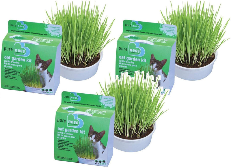 Van Ness Cat Oat Garden Kit (Set of 3) 3 Pack - BeesActive Australia