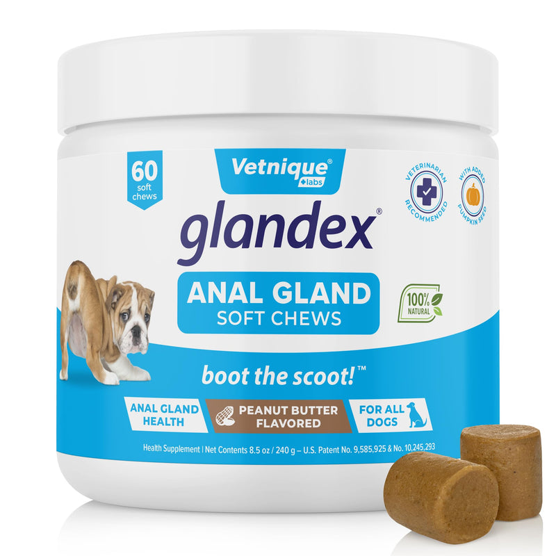 Glandex Anal Gland Soft Chew Treats with Pumpkin for Dogs Digestive Enzymes, Probiotics Fiber Supplement for Dogs Boot The Scoot (Peanut Butter Chews, 60ct) Peanut Butter Chews - BeesActive Australia