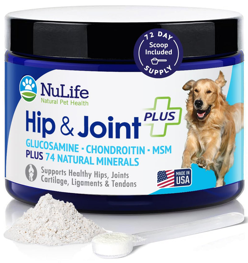 Advanced Glucosamine Powder for Dogs for Arthritis Pain Relief & Hip Dysplasia, Supports Joint Health & Reduces Inflammation with Glucosamine, Chondroitin, MSM & Coral Calcium, 6oz Powder - BeesActive Australia