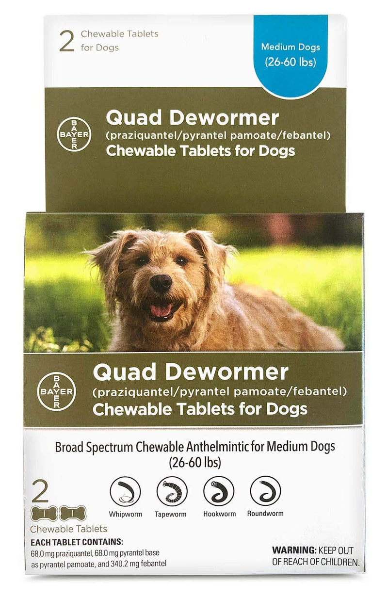 Dog quad dewormer - BeesActive Australia