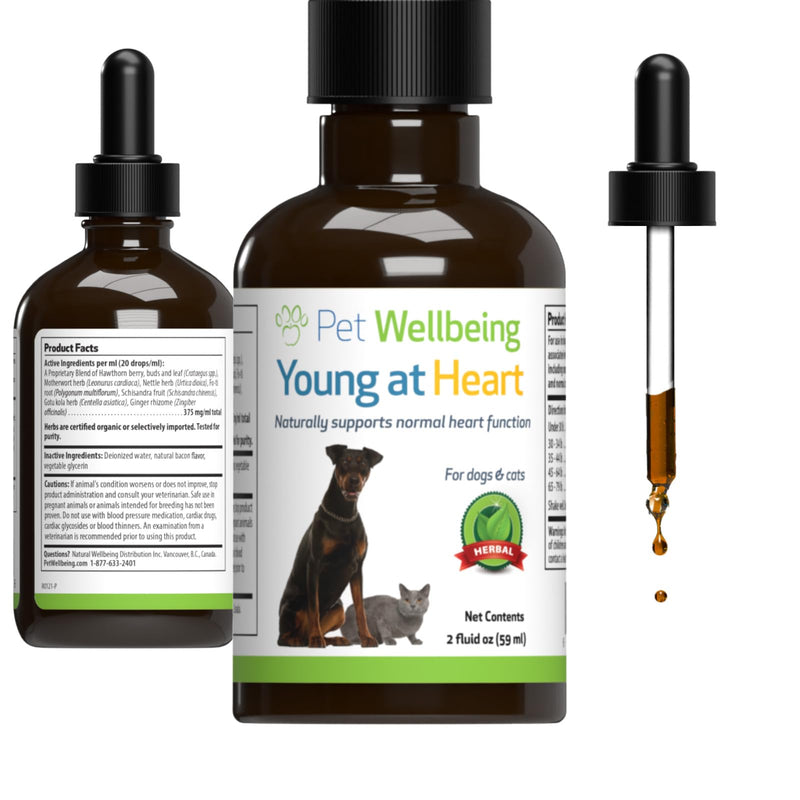 Pet Wellbeing Young at Heart for Dogs - Heart Health, Circulatory & Cardiovascular System, Hawthorn, Motherwort, Schisandra - Veterinarian-Formulated Herbal Supplement 2 fl oz (59 ml) 2 oz. - BeesActive Australia
