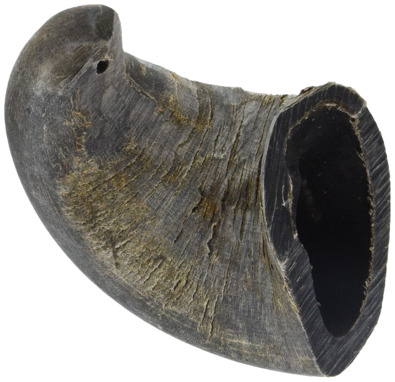 QT Dog - Buffalo Horn Small - BeesActive Australia