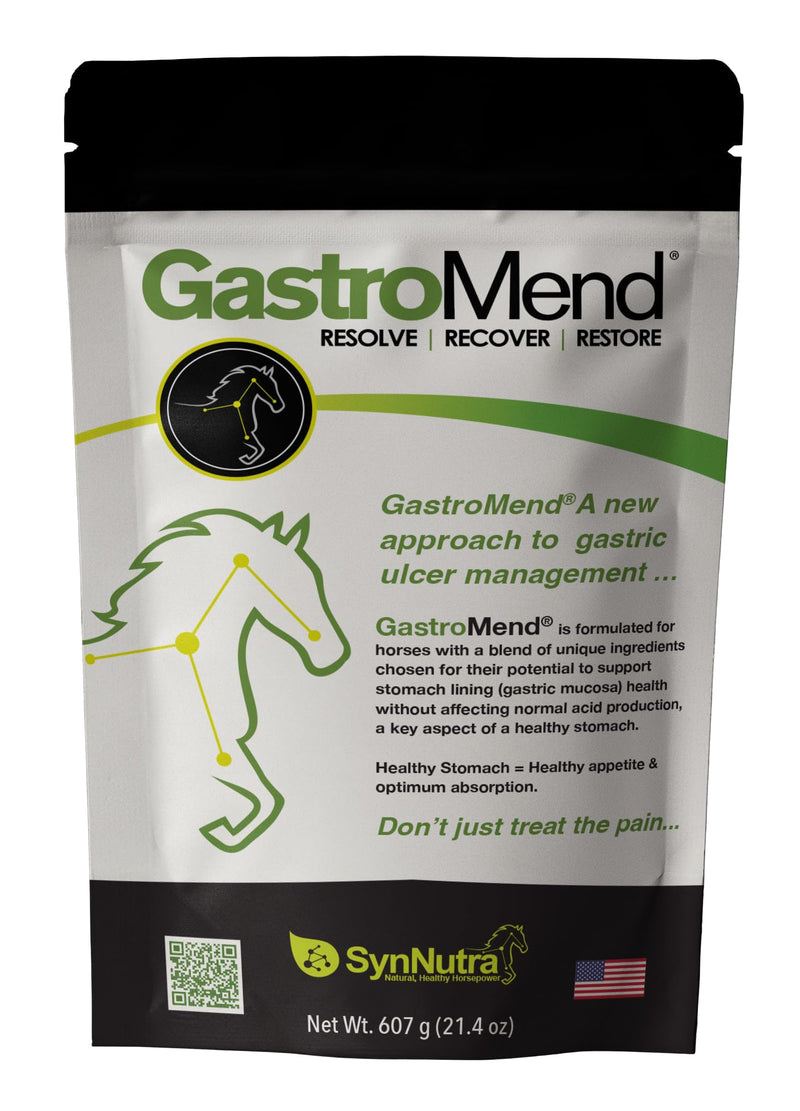 GastroMend® Gastrointestinal Health Supplement for Horses, 100% Natural, Promotes Stomach and Gut Health in Equines, Cost-Effective Digestive Wellness, 60 Servings per Pouch, Made in The USA - BeesActive Australia