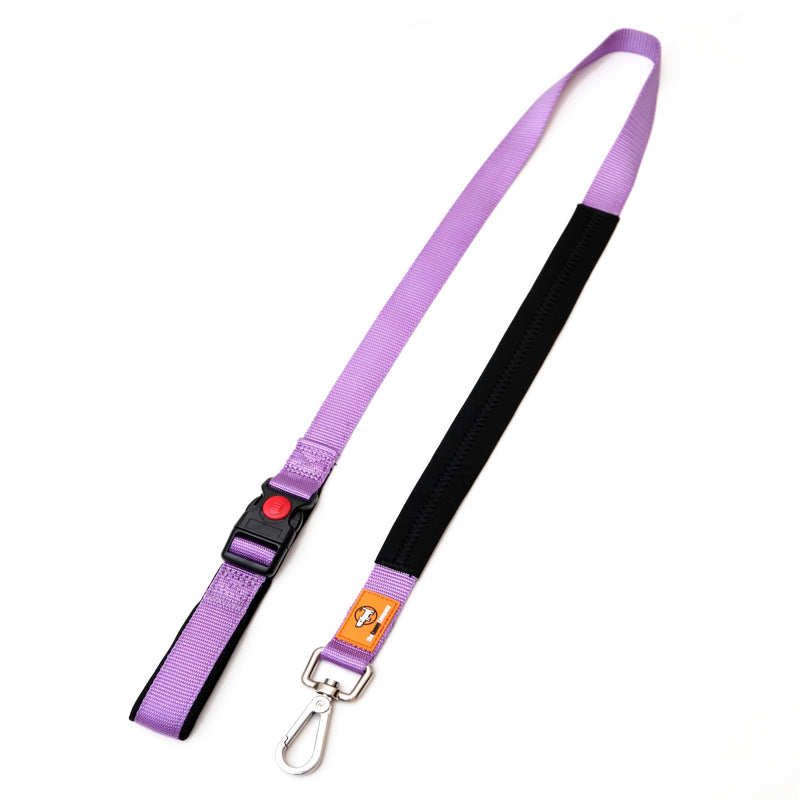 Canny Connect Dog Lead Lead with Soft Padded Handles, Padded Grip and A Secure Clip, Secure Your Dog Without Needing to Remove The Lead - Purple M/L - 25mm wide (1"), 120cm length (4ft) - BeesActive Australia
