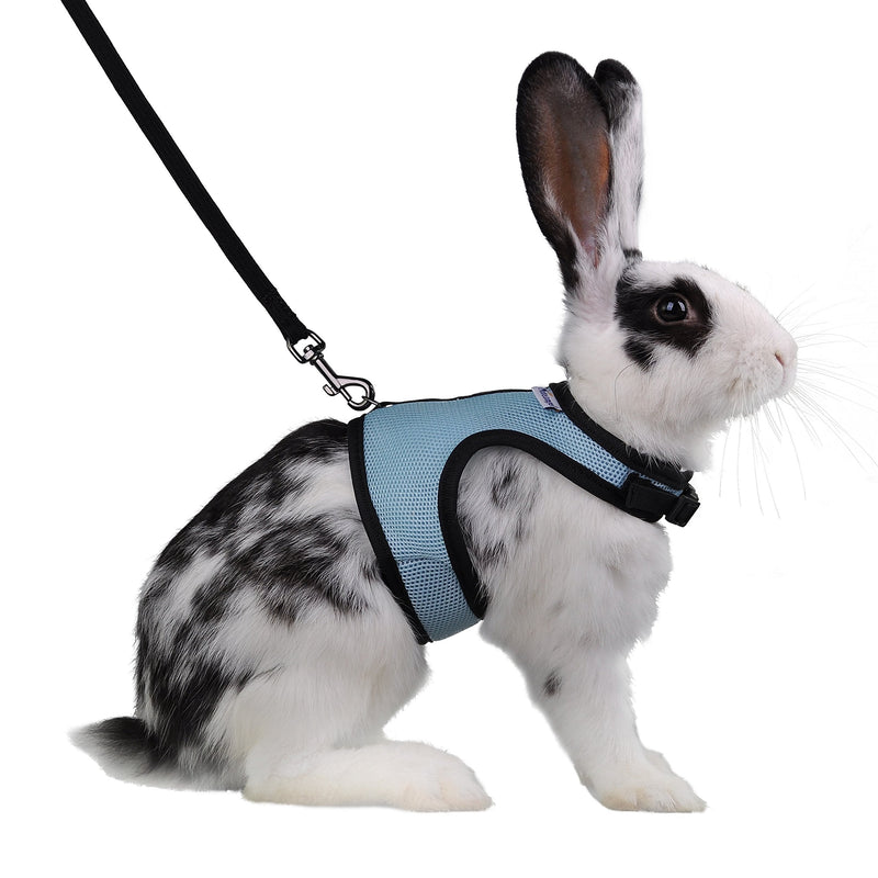 Niteangel Adjustable Soft Harness with Elastic Leash for Rabbits (L, Blue) L - BeesActive Australia