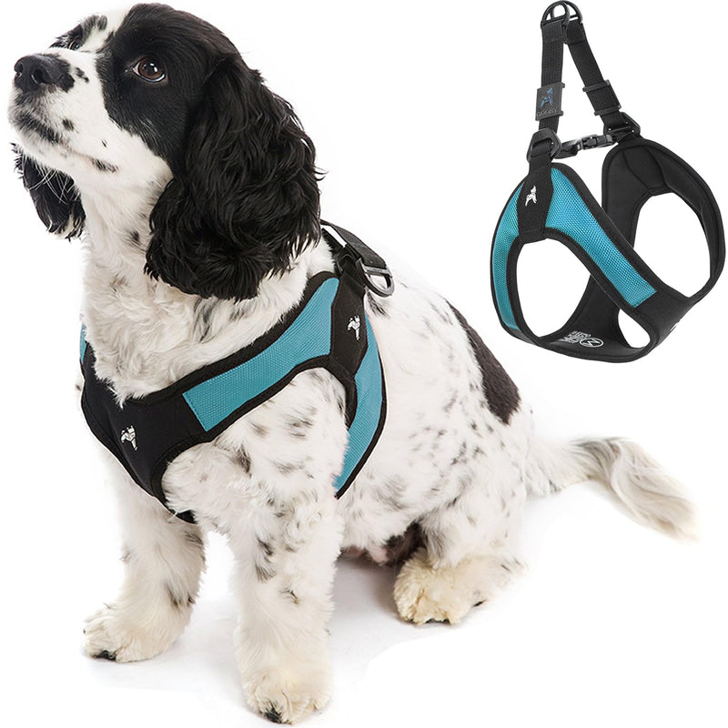 Gooby - Escape Free Easy Fit Harness, Small Dog Step-In Harness for Dogs that Like to Escape Their Harness, Turquoise, Small Small chest (16~19.25") - BeesActive Australia