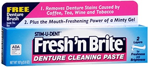 Fresh 'N Brite Denture Cleaning Paste, 3.80 oz., Pack of 4